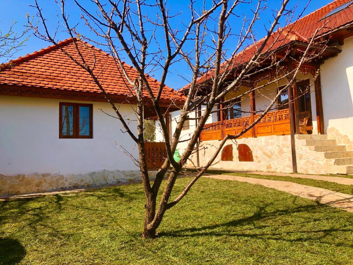 Conacul Grigorescu Ratesti Kültér fotó