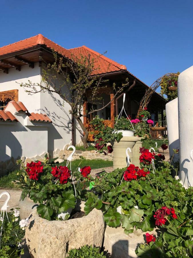 Conacul Grigorescu Ratesti Kültér fotó
